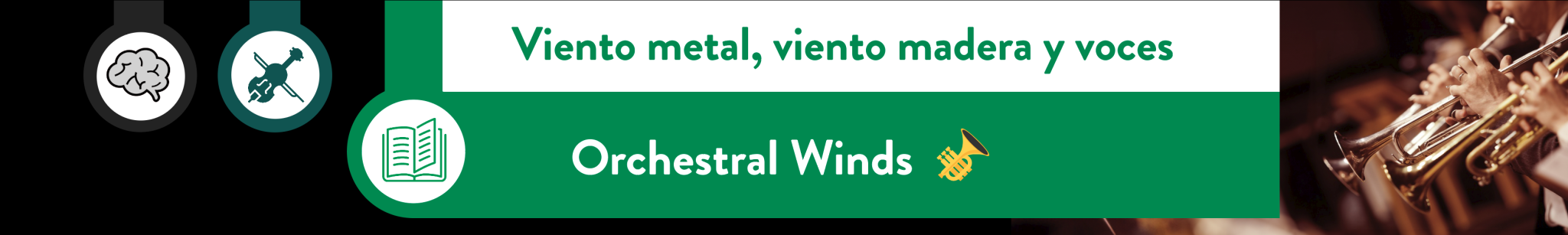 Orchestral Winds - Asignatura