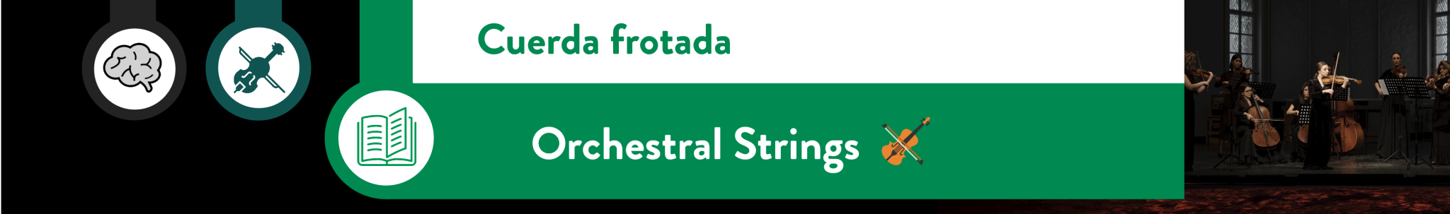 Orchestral Strings - Asignatura