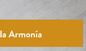 ?Más Allá de la  Armonía